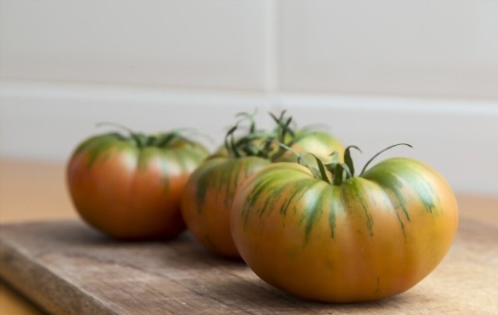 tomate raf es el rey de los tomates